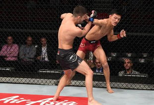 UFC 274最新比赛安排和苏木达尔基的最新比赛时间