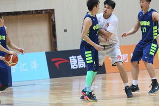 宁波篮球国家级裁判目前名单及麟凤镇篮球比赛裁判员名单