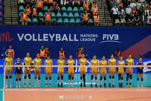 日本队在女排亚洲杯中代表的是国家队吗？