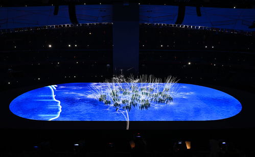 2022年北京冬奥会：荧光成像技术揭示动物奇妙之美
