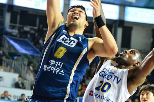 韩国篮球外援争吵，韩篮协主席嘲讽中国篮球，姚明将如何回应？