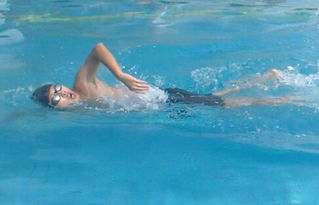 自由泳的技巧动作要领及相关指导