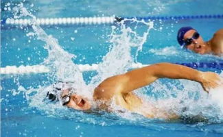 自由泳比赛的裁判规则中包括哪些自由泳比赛规则？