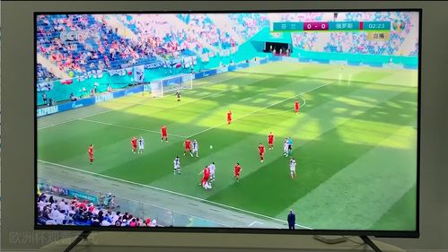 如何观看欧洲杯直播