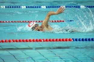 改为：自由泳比赛中，哪种泳姿最快？其他泳姿有什么特点？