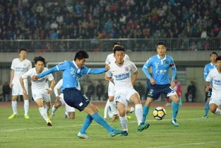 中国足球2012赛季中超、中甲和中乙联赛共有多少支球队？