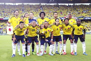 了解一下哥伦比亚国家足球队（哥伦比亚队总决赛）
