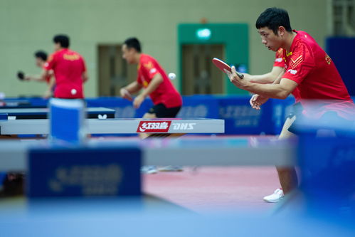 [Interview with Chinese National Table Tennis Team: Hilarious English Moments in Ping Pong]