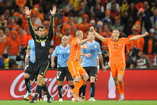 世界杯今晚的荷兰赛事及赔率