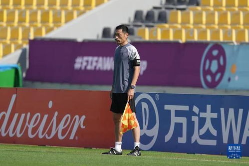 中国裁判执法世界杯赛事的回顾与揭秘: 卡塔尔世界杯裁判员考核和中国裁判的亮点