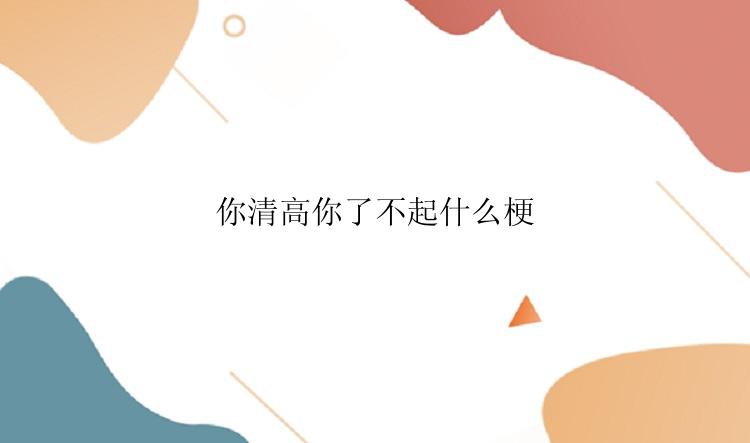 你清高你了不起什么梗