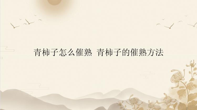 青柿子怎么催熟 青柿子的催熟方法