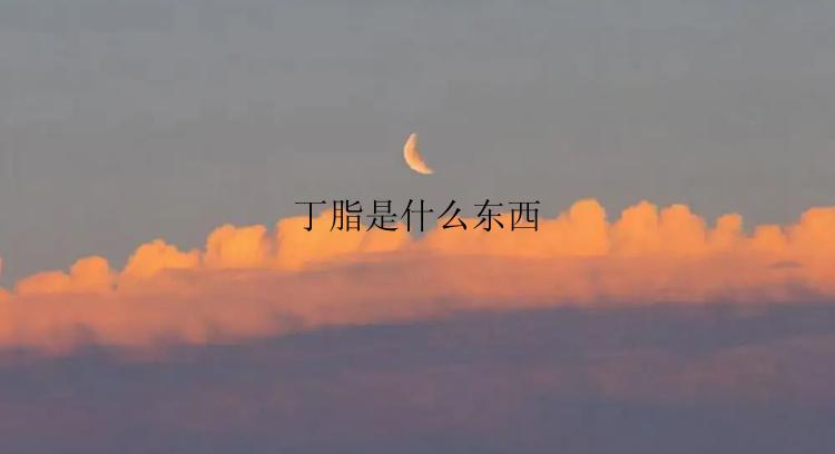 丁脂是什么东西