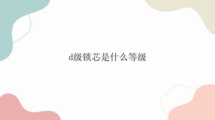 d级锁芯是什么等级