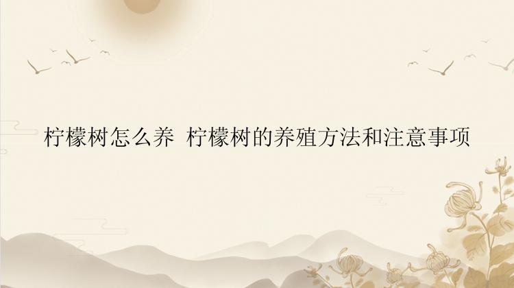 柠檬树怎么养 柠檬树的养殖方法和注意事项