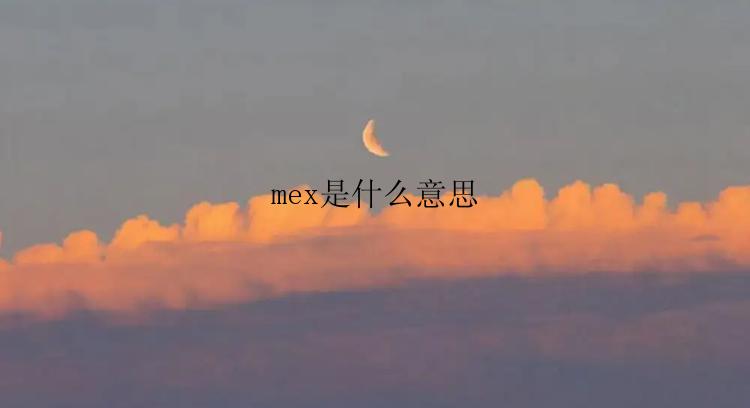 mex是什么意思