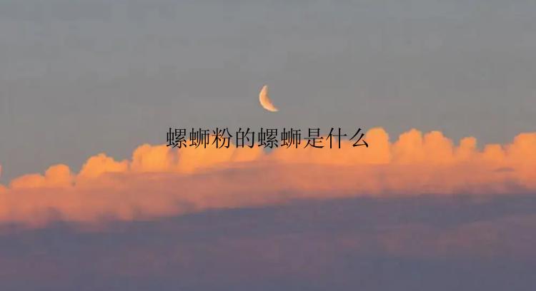 螺蛳粉的螺蛳是什么