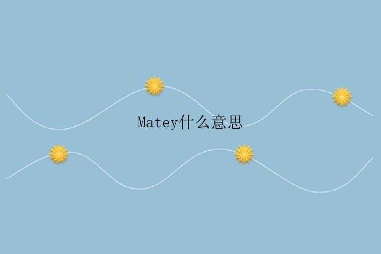 Matey什么意思