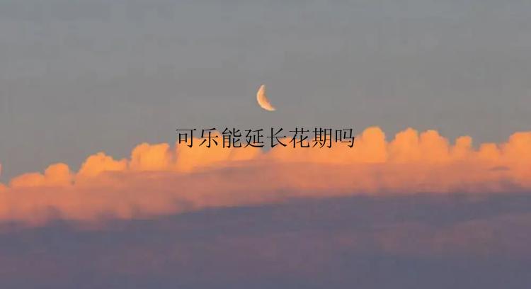 可乐能延长花期吗