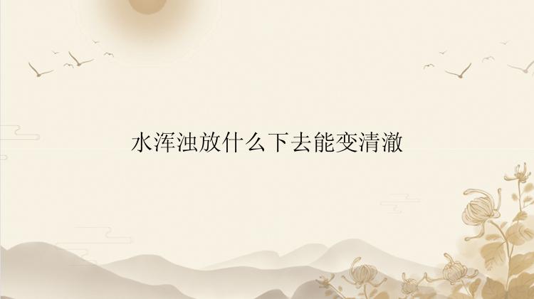 水浑浊放什么下去能变清澈