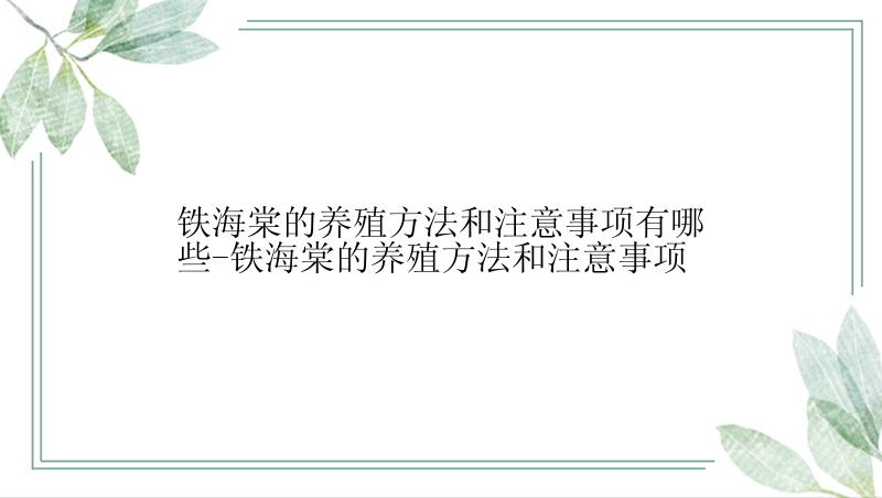 铁海棠的养殖方法和注意事项有哪些-铁海棠的养殖方法和注意事项