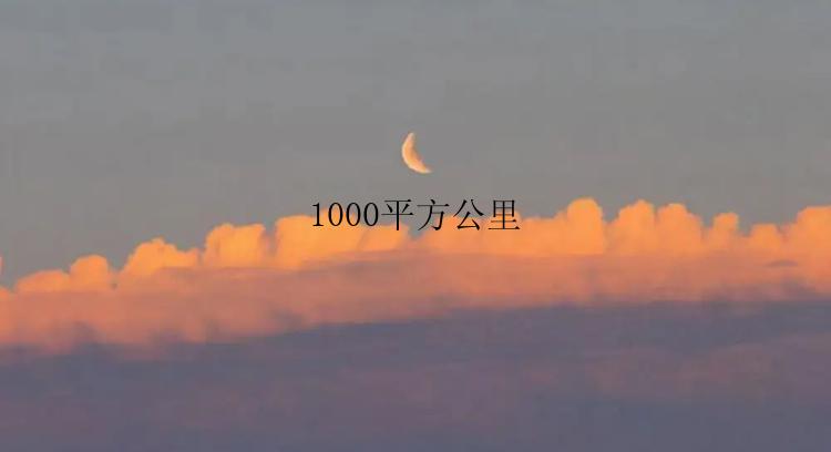 1000平方公里