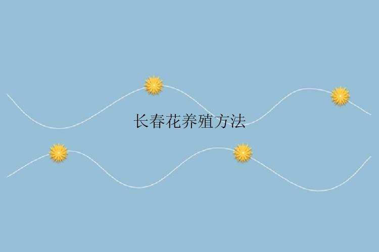 长春花养殖方法