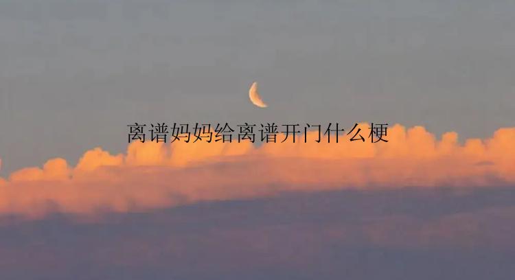 离谱妈妈给离谱开门什么梗