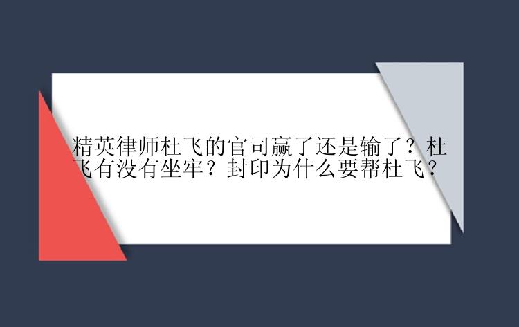 精英律师杜飞的官司赢了还是输了？杜飞有没有坐牢？封印为什么要帮杜飞？