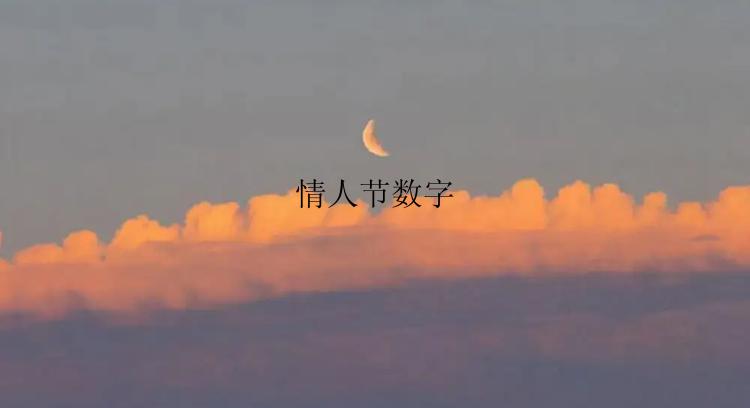 情人节数字