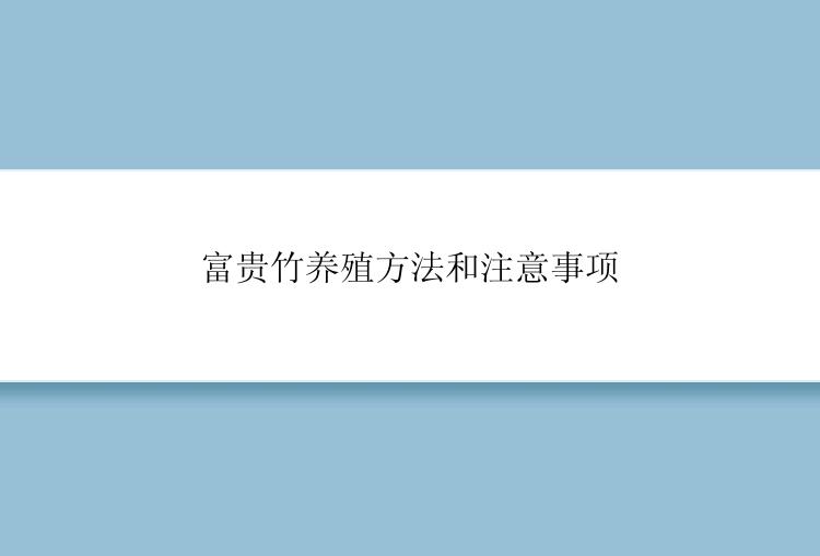 富贵竹养殖方法和注意事项