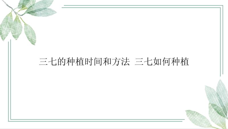 三七的种植时间和方法 三七如何种植