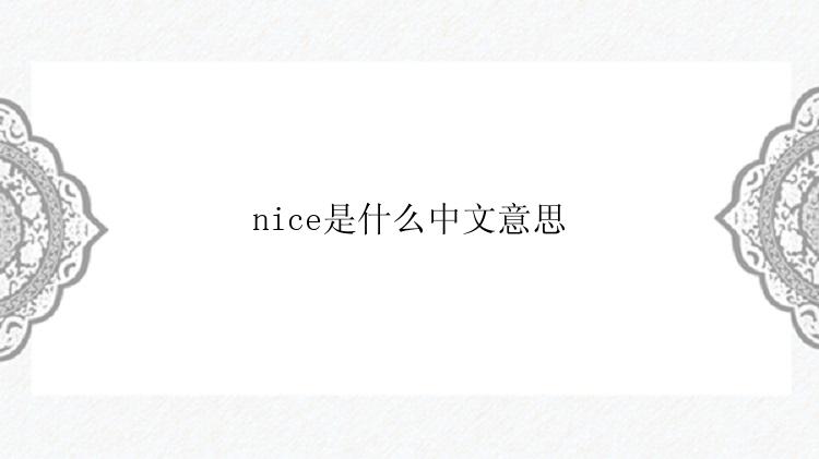 nice是什么中文意思