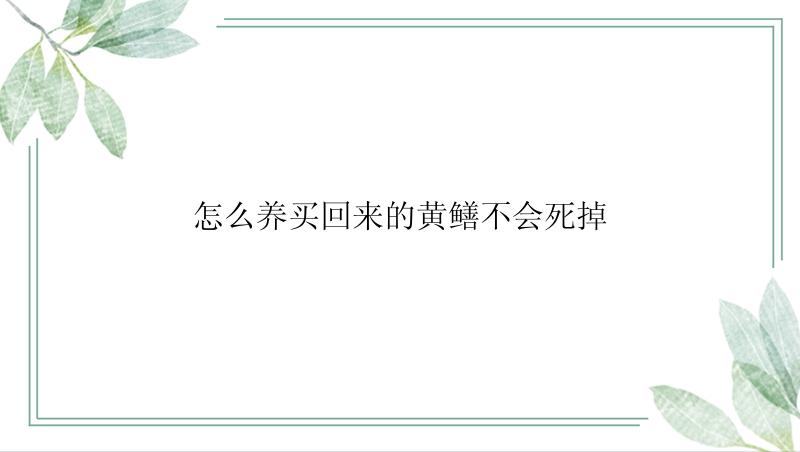 怎么养买回来的黄鳝不会死掉