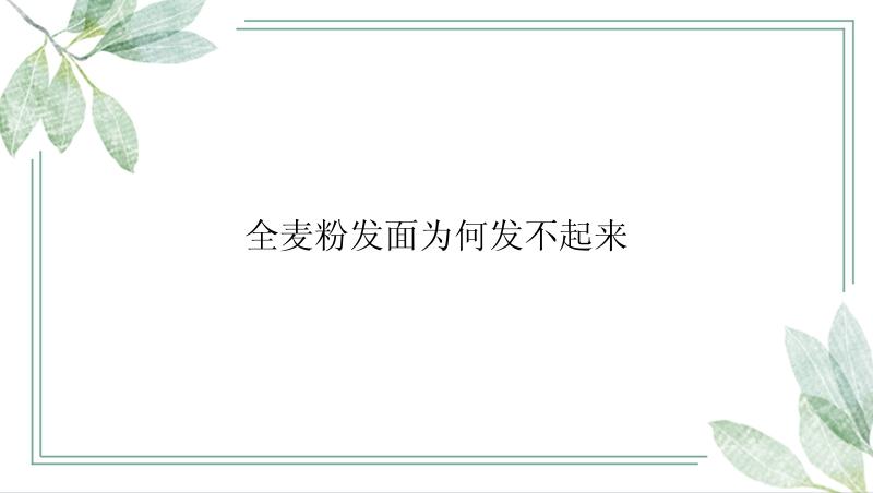 全麦粉发面为何发不起来