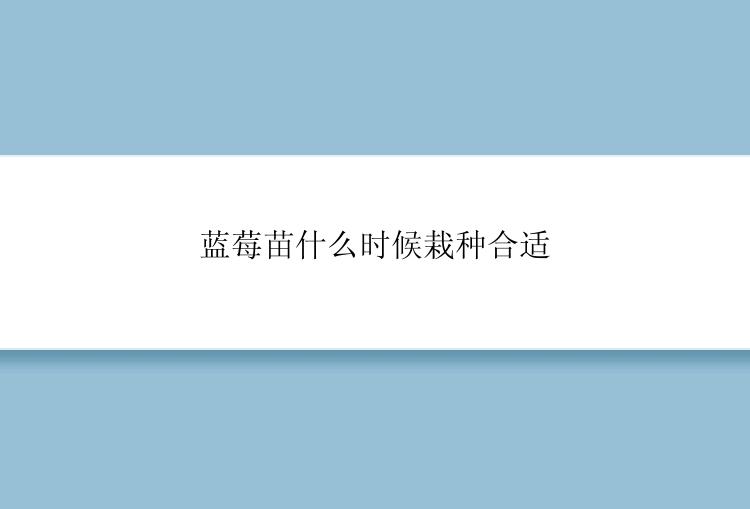 蓝莓苗什么时候栽种合适