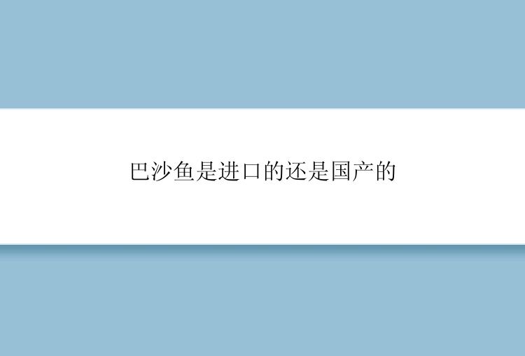 巴沙鱼是进口的还是国产的