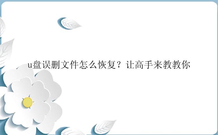 u盘误删文件怎么恢复？让高手来教教你