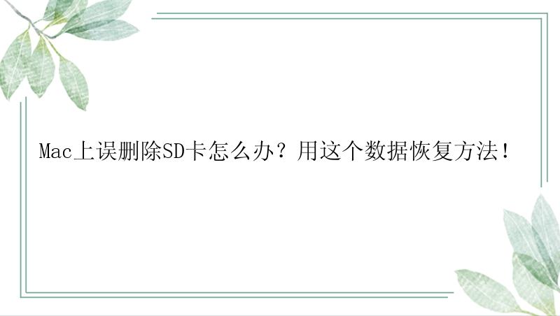 Mac上误删除SD卡怎么办？用这个数据恢复方法！