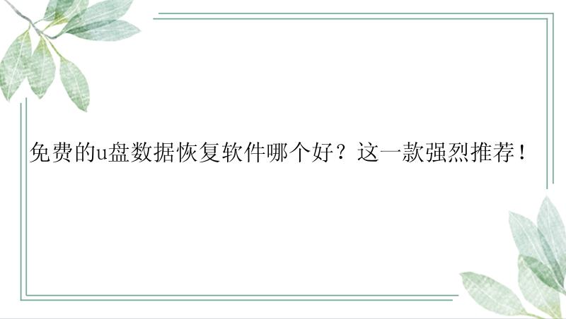 免费的u盘数据恢复软件哪个好？这一款强烈推荐！