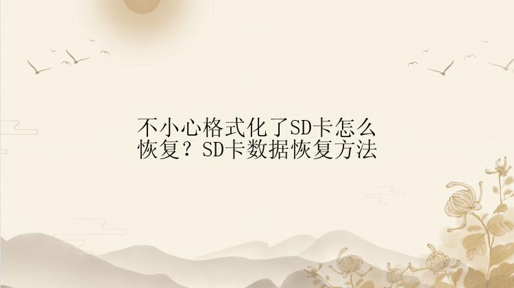 不小心格式化了SD卡怎么恢复？SD卡数据恢复方法