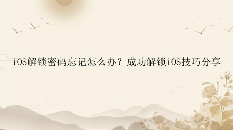 iOS解锁密码忘记怎么办？成功解锁iOS技巧分享