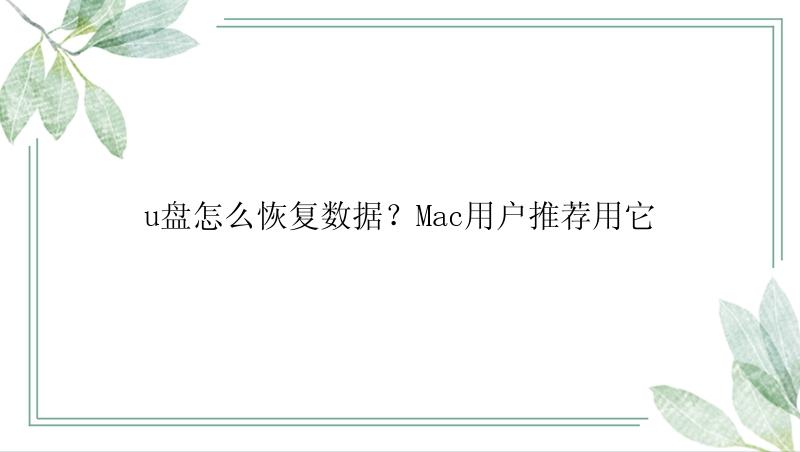 u盘怎么恢复数据？Mac用户推荐用它