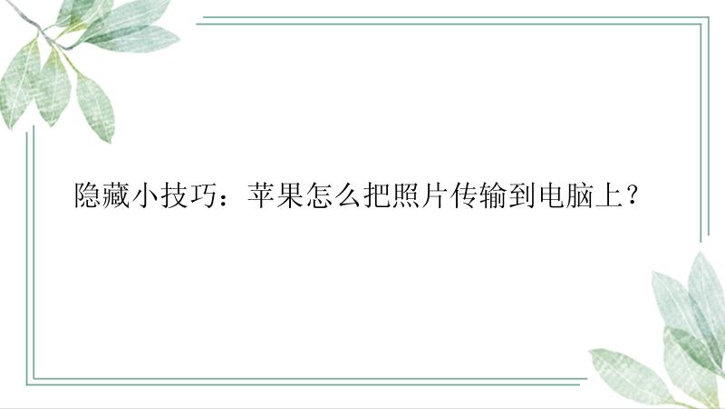 隐藏小技巧：苹果怎么把照片传输到电脑上？