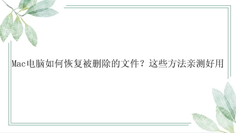 Mac电脑如何恢复被删除的文件？这些方法亲测好用