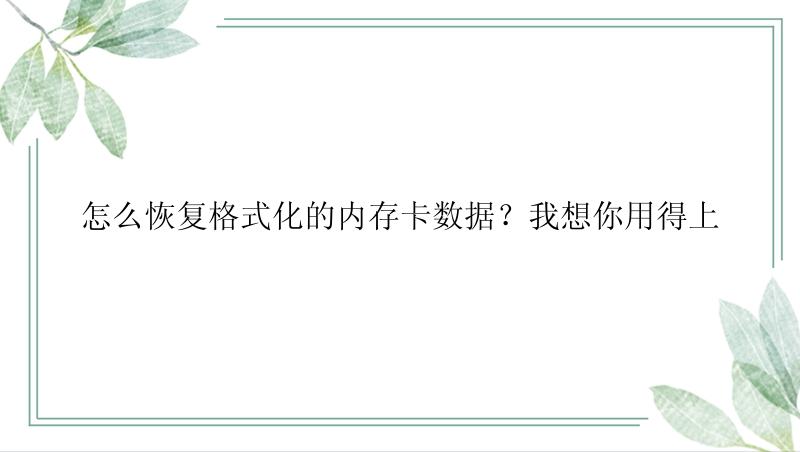 怎么恢复格式化的内存卡数据？我想你用得上