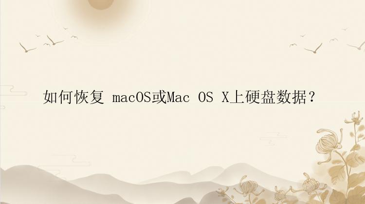 如何恢复 macOS或Mac OS X上硬盘数据？