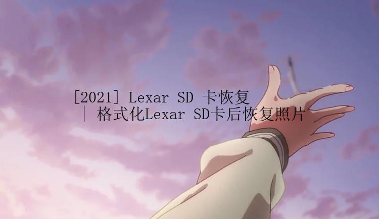 [2021] Lexar SD 卡恢复 