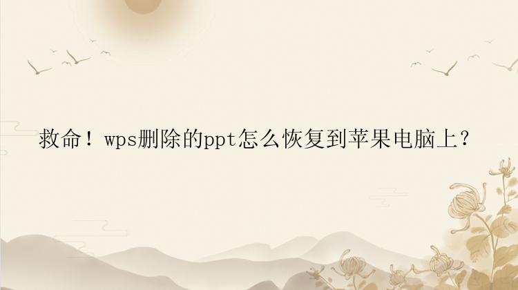 救命！wps删除的ppt怎么恢复到苹果电脑上？