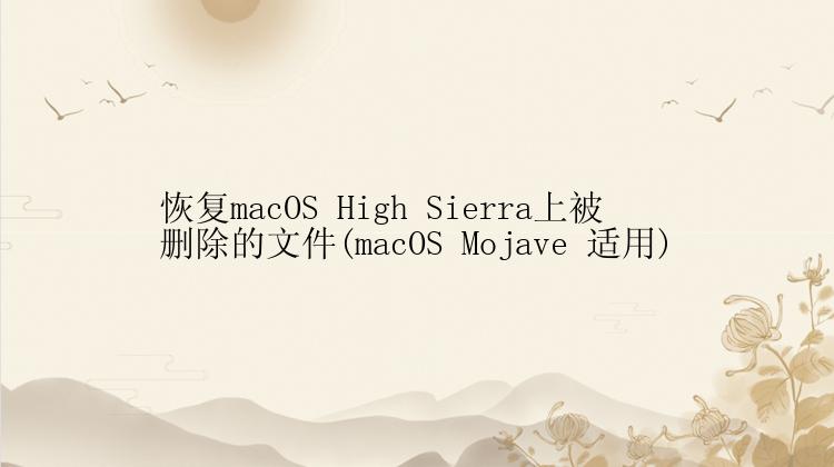 恢复macOS High Sierra上被删除的文件(macOS Mojave 适用)